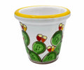 Prickly Pear Seedling Holder