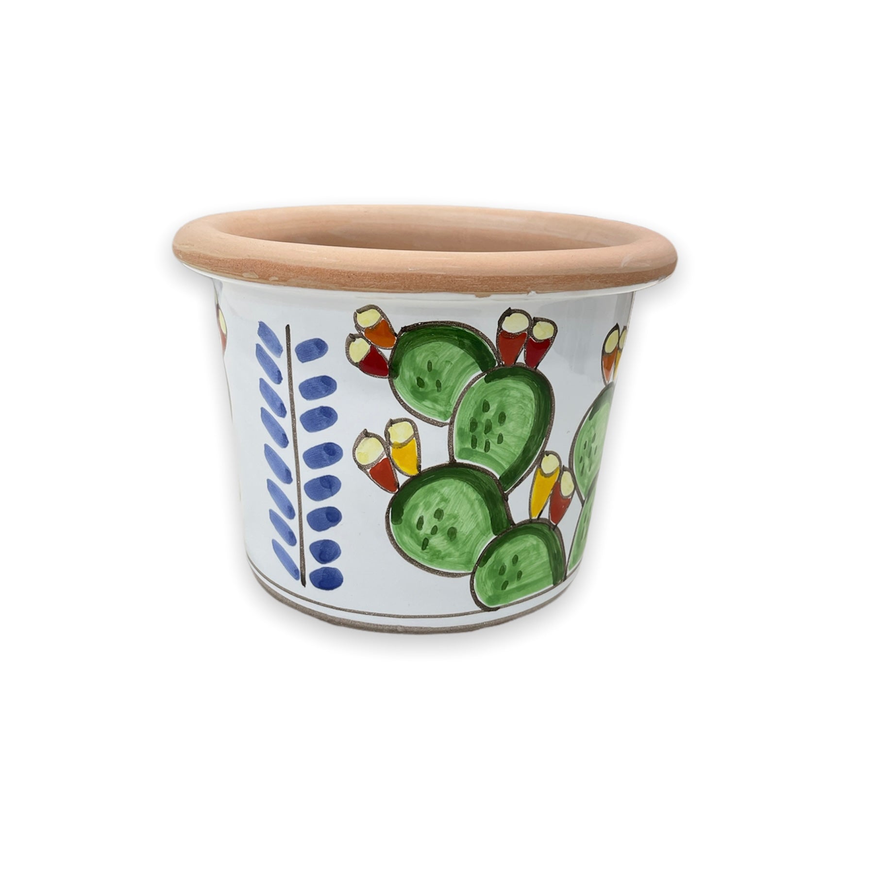 Round prickly pear plant holder